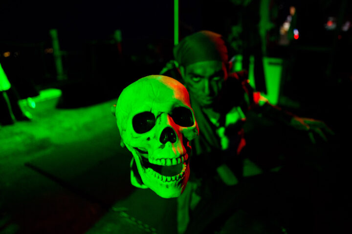 YOHO SHOW CABO LEGEND - Image 2