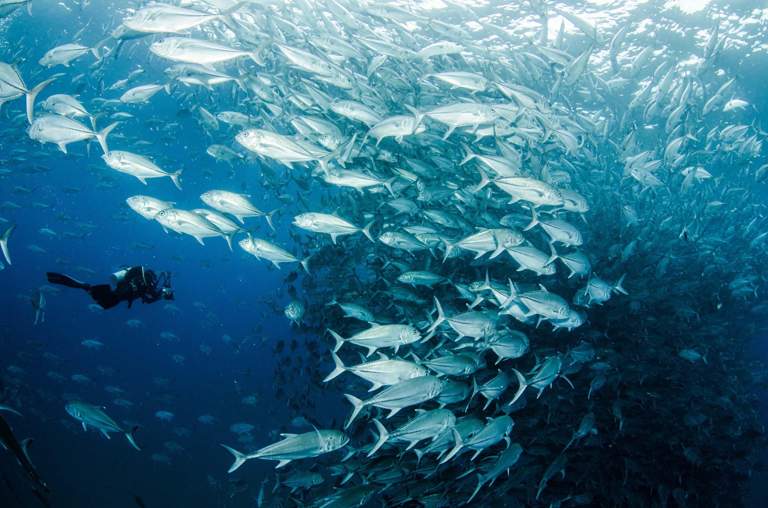 Tio Sports Discover Scuba Diving