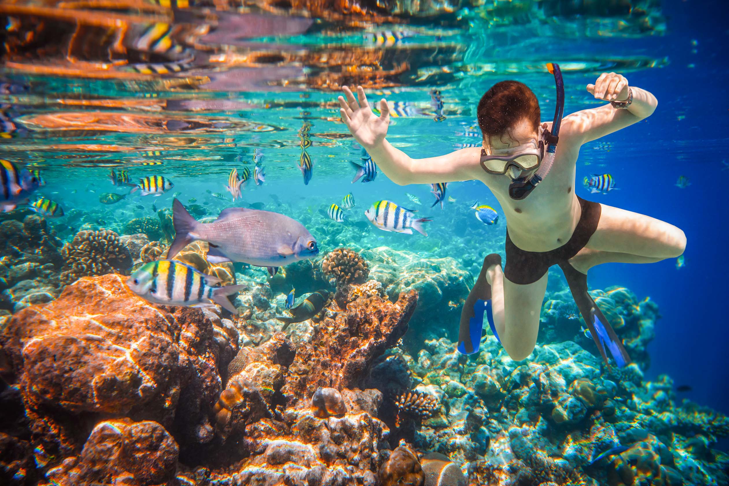 Los Cabos Snorkeling