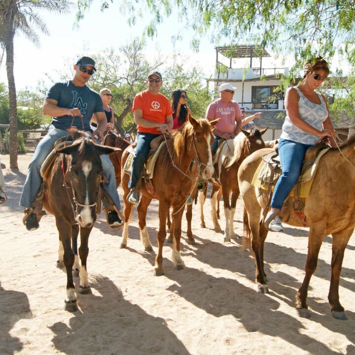 Carisuva Hiking Burro Tour