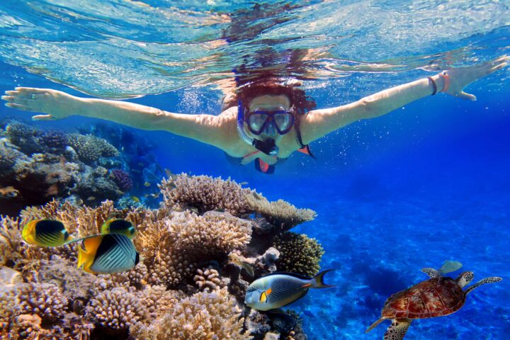 Tio Sports Snorkeling Tour