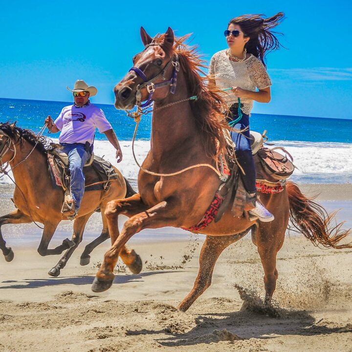 Amigos Combo ATV and Horseback