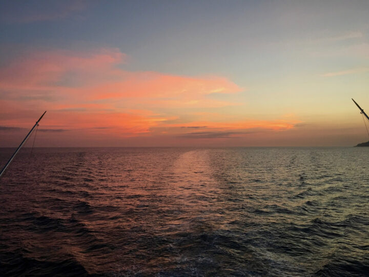 SUNSET ADVENTURE TOURS R FUN - Image 2