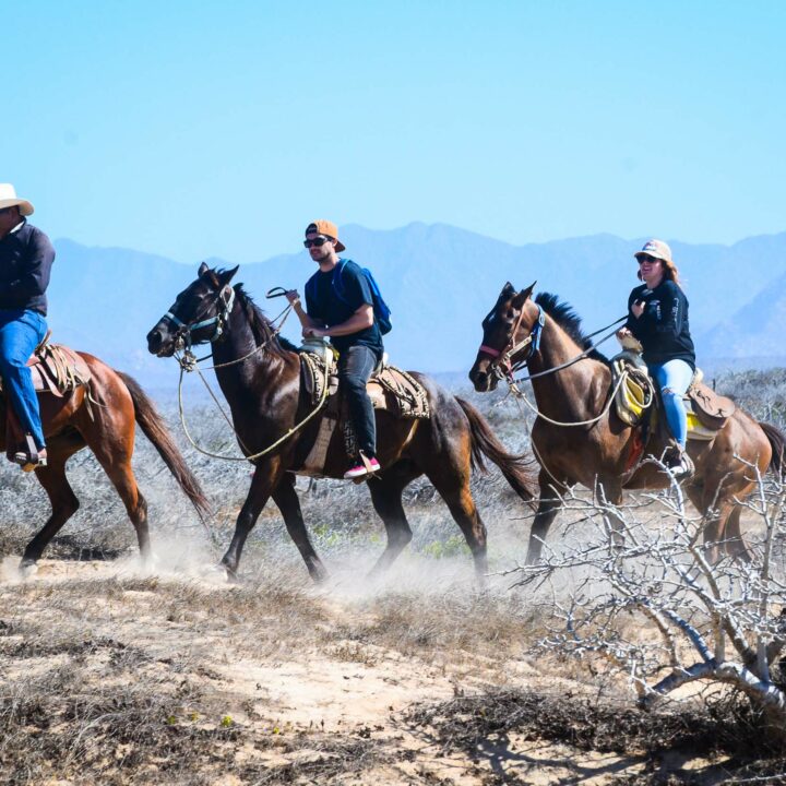 HORSEBACK RIDING G FORCE ADVENTURES