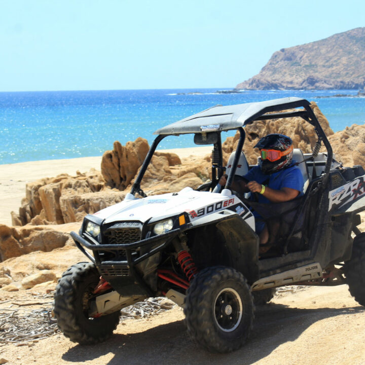 Wild Canyon UTV