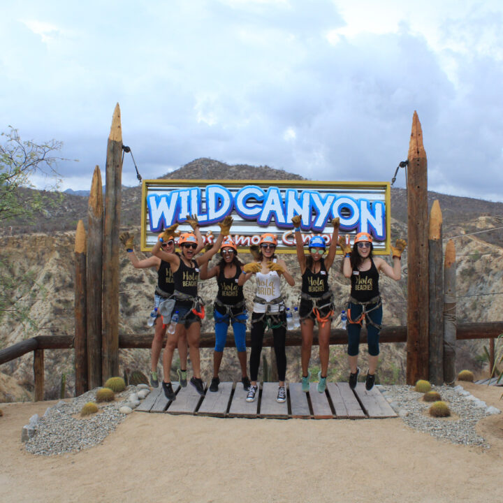 ZIPLINES WILD CANYON