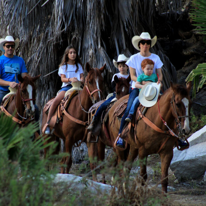 Wild Canyon Horseback Riding Tour