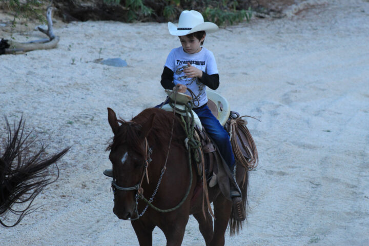 FANDANGO HORSEBACK RIDING WILD CANYON - Image 2
