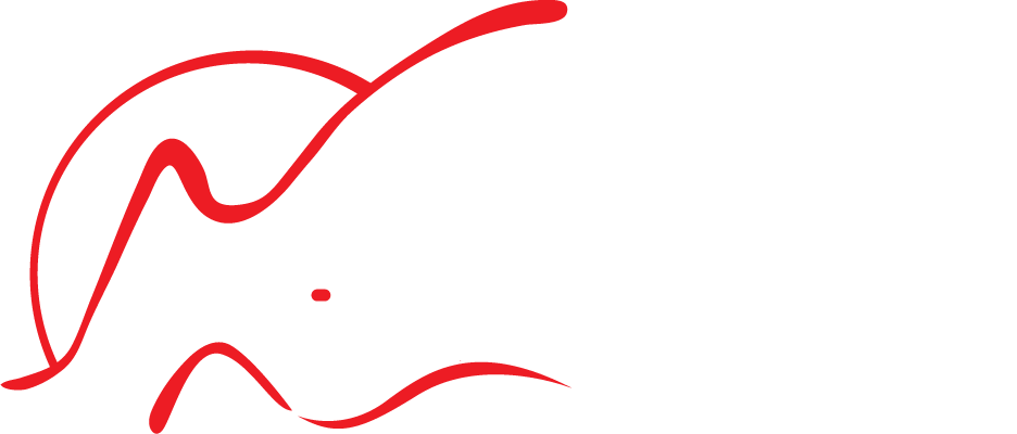 Los Cabos Passport