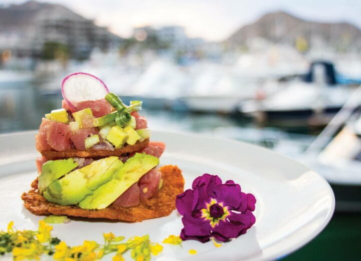 Baja Lobster