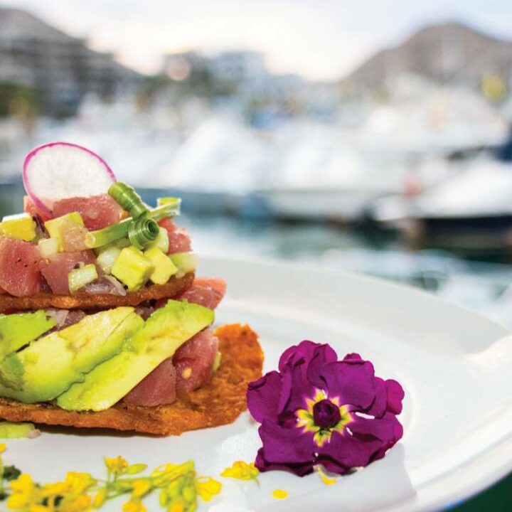Baja Lobster