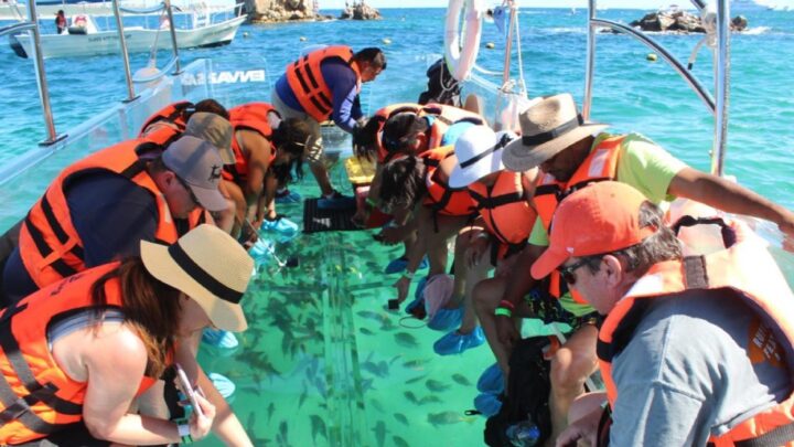 Enva Tours Clear Boat