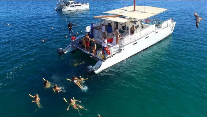 SNORKELING PARTY CRUISE LA TORTUGA - Image 2