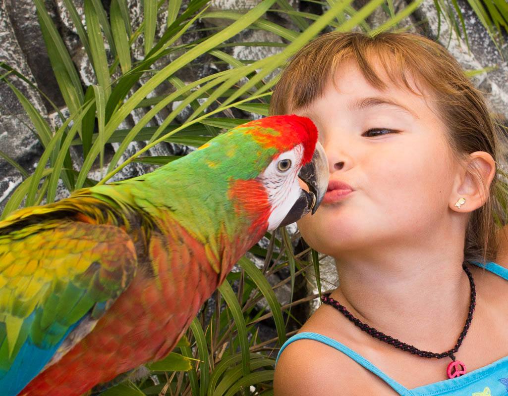 Animal Sanctuary in Los Cabos