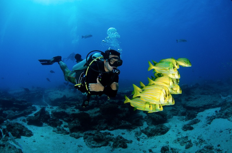 How to Save Money in Los Cabos Using Los Cabos Passport
