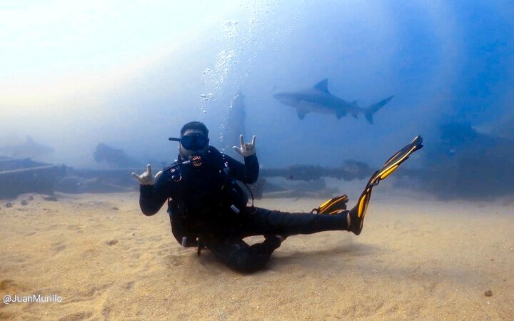 SCUBA DIVING CABO PULMO TRAVEL