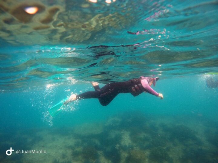 SNORKELING CABO PULMO TRAVEL