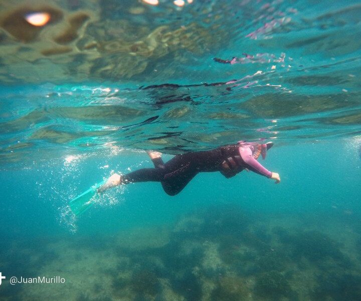 SNORKELING CABO PULMO TRAVEL