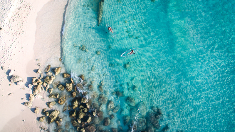 The Best Beaches in Los Cabos and Activities with Exclusive Discounts