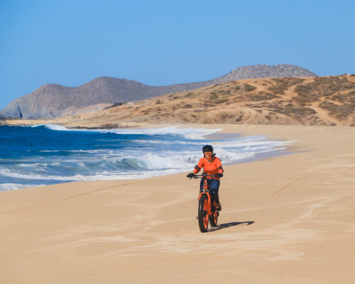 ADW ELECTRIC BIKE BEACH & DESERT TOUR CACTUS - Image 2