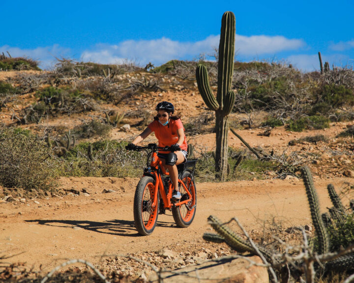 ADW ELECTRIC BIKE BEACH & DESERT TOUR CACTUS