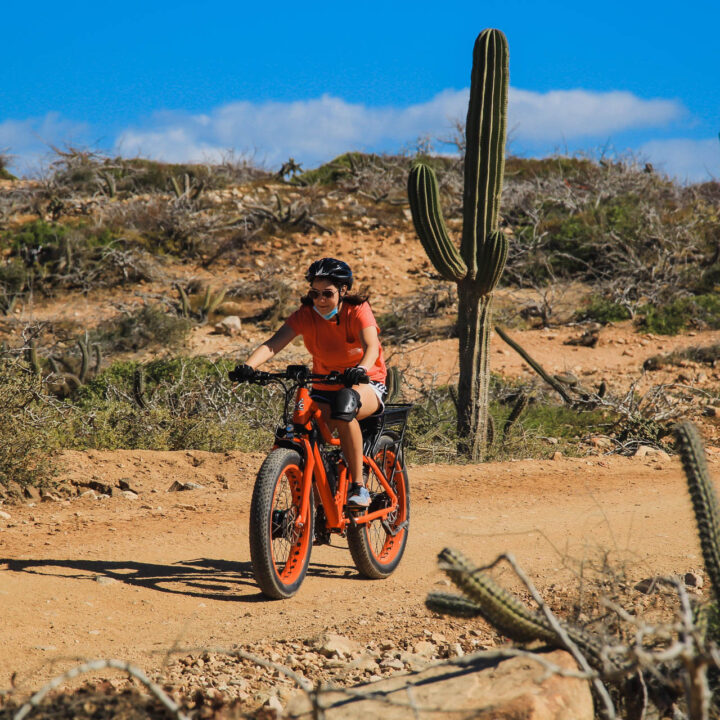 ADW ELECTRIC BIKE BEACH & DESERT TOUR CACTUS