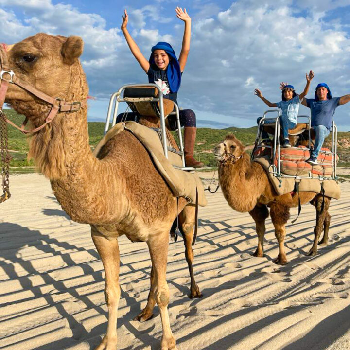CAMEL ADVENTURE PICACHO ADVENTURES