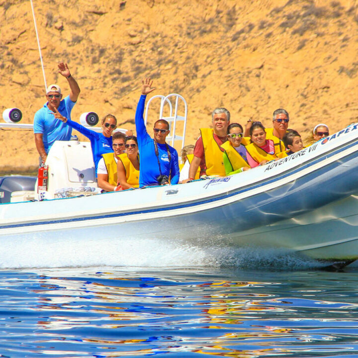SNORKEL & SEA ADVENTURE CABO ADVENTURES