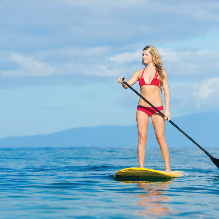 2-HR PRIVATE SUP & SNORKELING TOUR CABOLECTRIC