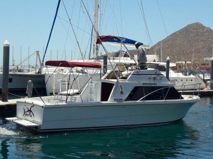 28 FOOT BOAT Cabo Sport Fishing Fleet