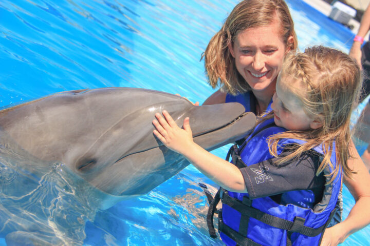 DOLPHIN ENCOUNTER CABO ADVENTURES