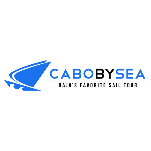 logo los cabos prueba test