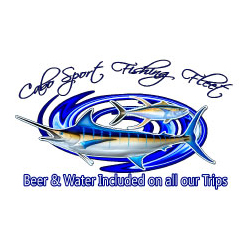 logo los cabos prueba test
