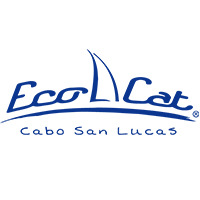 logo los cabos prueba test