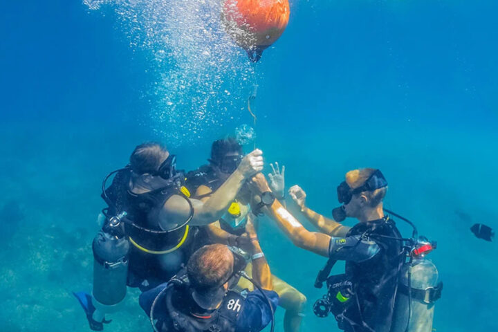 DISCOVER SCUBA DIVING CABO ADVENTURES - Image 2