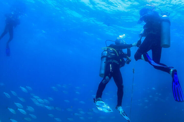 DISCOVER SCUBA DIVING CABO ADVENTURES - Image 4