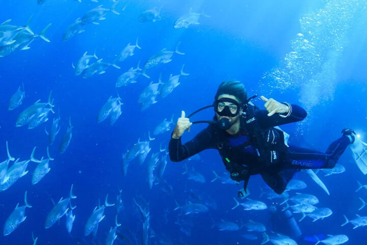 DIVING TOUR AT LAND’S END & THE ARCH CABO ADVENTURES - Image 3