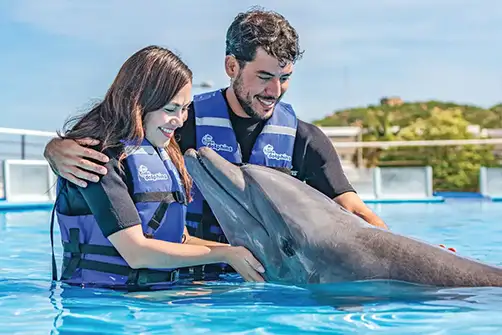 DOLPHIN EXPERIENCE EXCLUSIVELY IN SAN JOSE