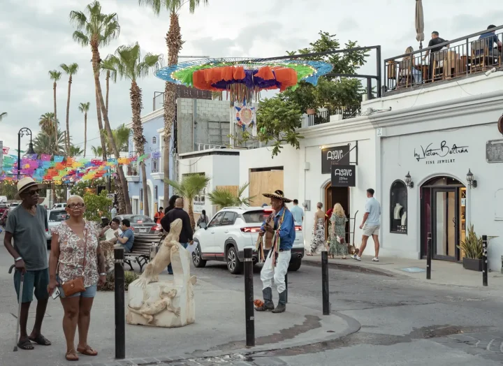 Los Cabos City Tour - Browns Private Services - Image 2