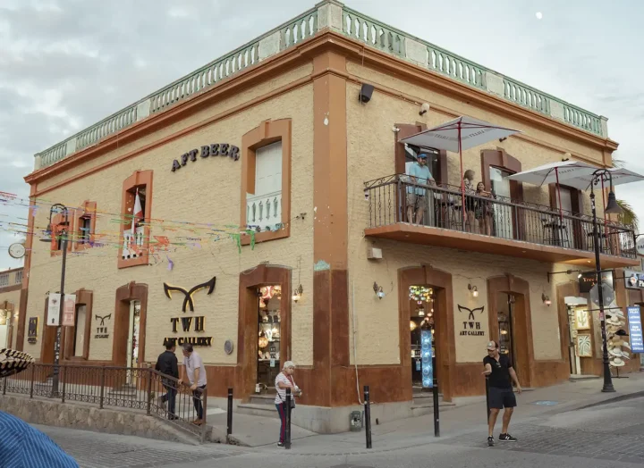 Los Cabos City Tour - Browns Private Services - Image 3